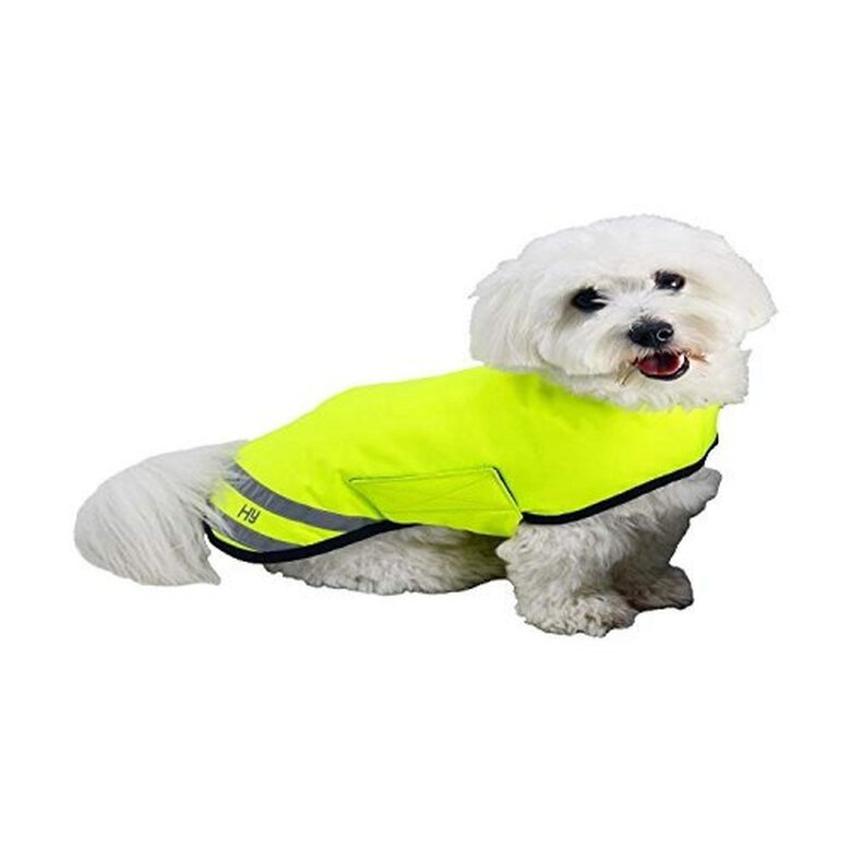 HyVIZ abrigo impermeable reflectante amarillo para perros, , large image number null