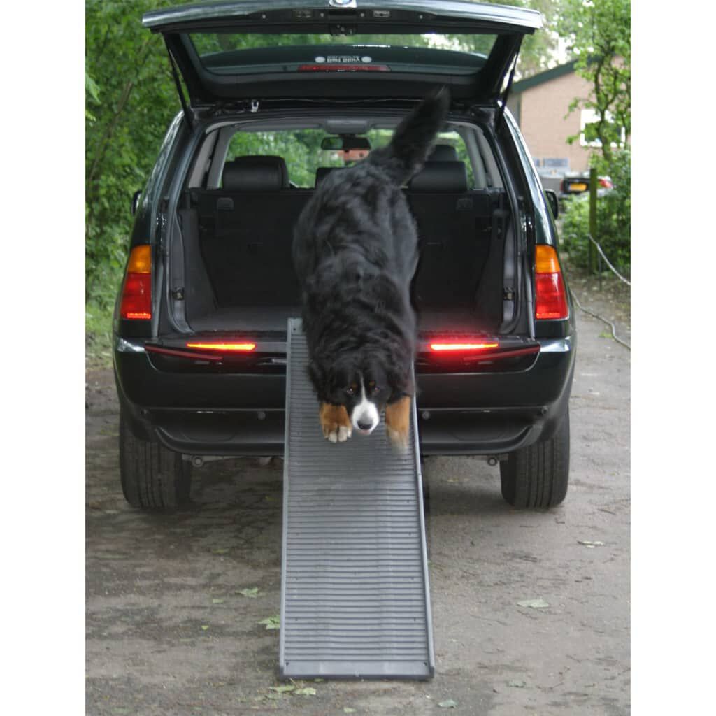 Pelda&ntilde;o Para Perros, , large Imagen numero 3
