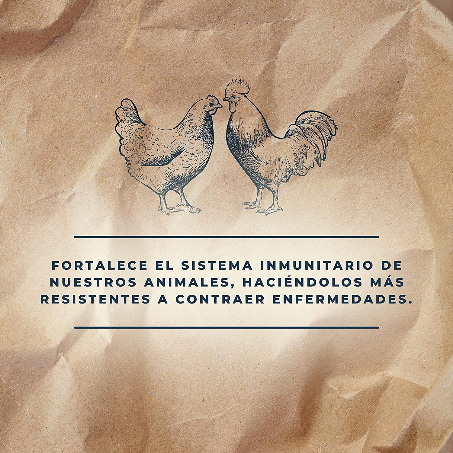 Levadura de Cerveza para Animales &ndash; Poultry Pro 1,5Kg &ndash; Fortalece el Plumaje en Aves y el Pelaje en Perros &ndash; Ayuda al Sistema Inmunitario, la Flora Intestinal, la Muda y la Cr&iacute;a, , large Imagen numero 3