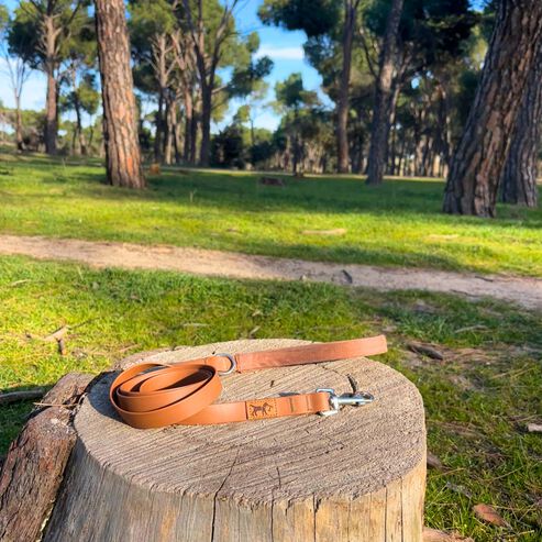 La Casa de Turr&oacute;n - Correa para perros modelo Adventure impermeable de PVC con mango de ante - Sin olor, f&aacute;cil de limpiar y elegante para perros, , large Imagen numero 2