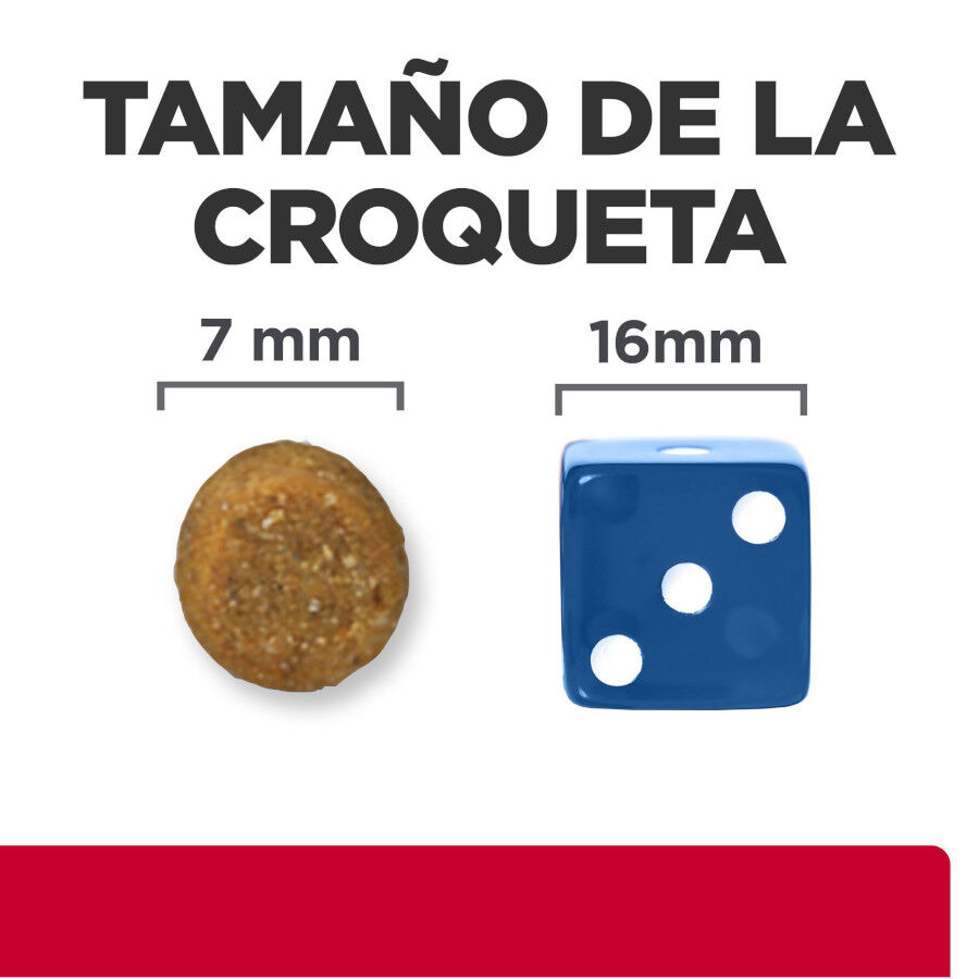 1.5 kg Hill's Prescription Diet Urinary Care c/d pescado azul pienso para gatos, , large Imagen numero 7