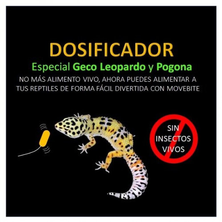 Dosificador de pastillas especial para geckos y pogonas, , large image number null