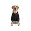 Gotoo Abrigo Impermeable Reflectante Negro para perros, , large indicador imagen numero 7