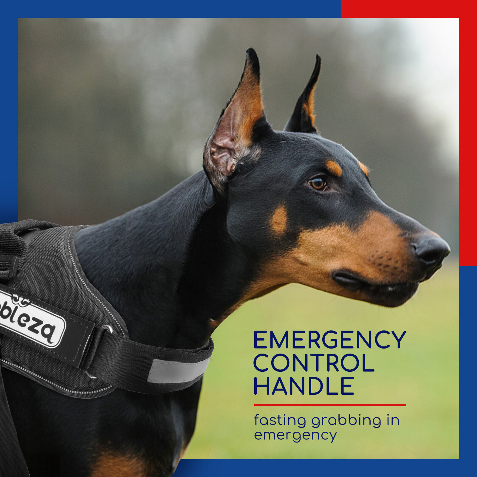 Nobleza Arnés Antitirones para Perro thumbnail