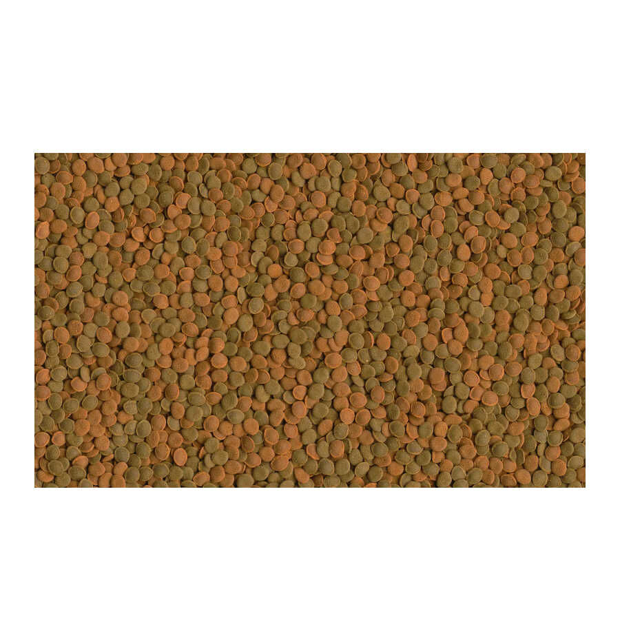 TetraWafer Mix Tabletas para peces fitófagos y carnívoros thumbnail