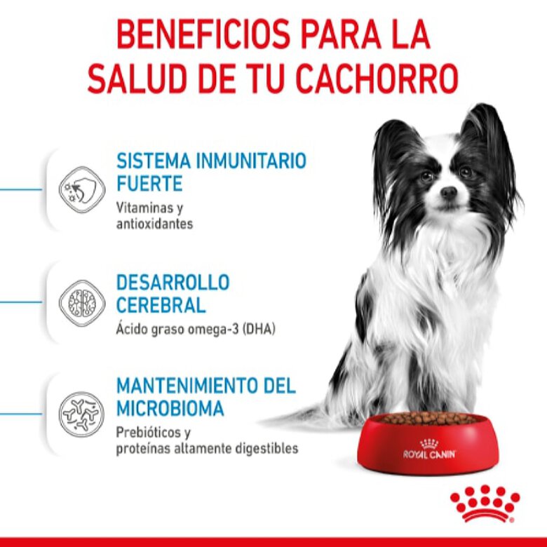 Royal Canin X-Small Puppy pienso para perros, , large image number null