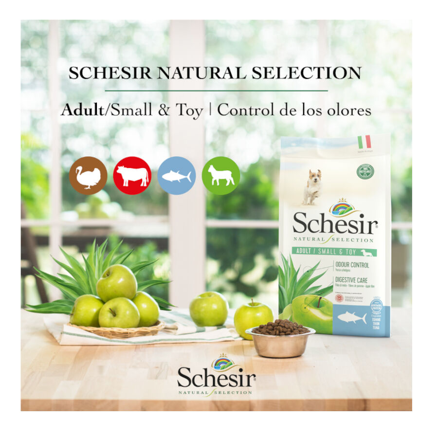 2.24 kg Schesir Adult Small&Toy Natural Selection Pavo pienso para perros, , large Imagen numero 4