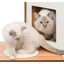 Rascador Vesper Doble para gatos color Roble, , large indicador imagen numero 3