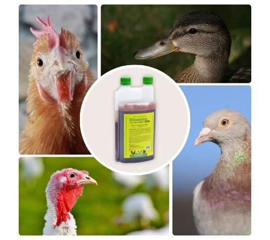 Finca Casarejo Vitamínico para Cría y Reproducción de Las Gallinas y Otras Aves de Corral thumbnail