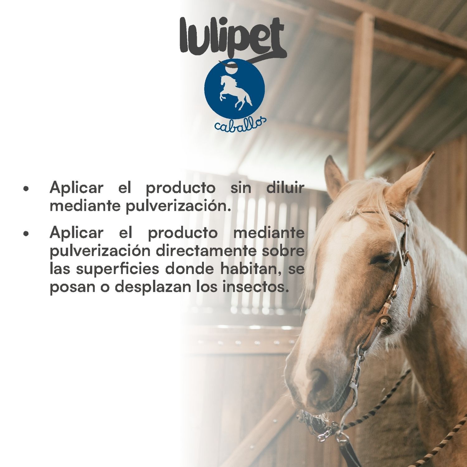 Spray Insecticida entorno caballos Lulipet  500 ml, , large Imagen numero 4