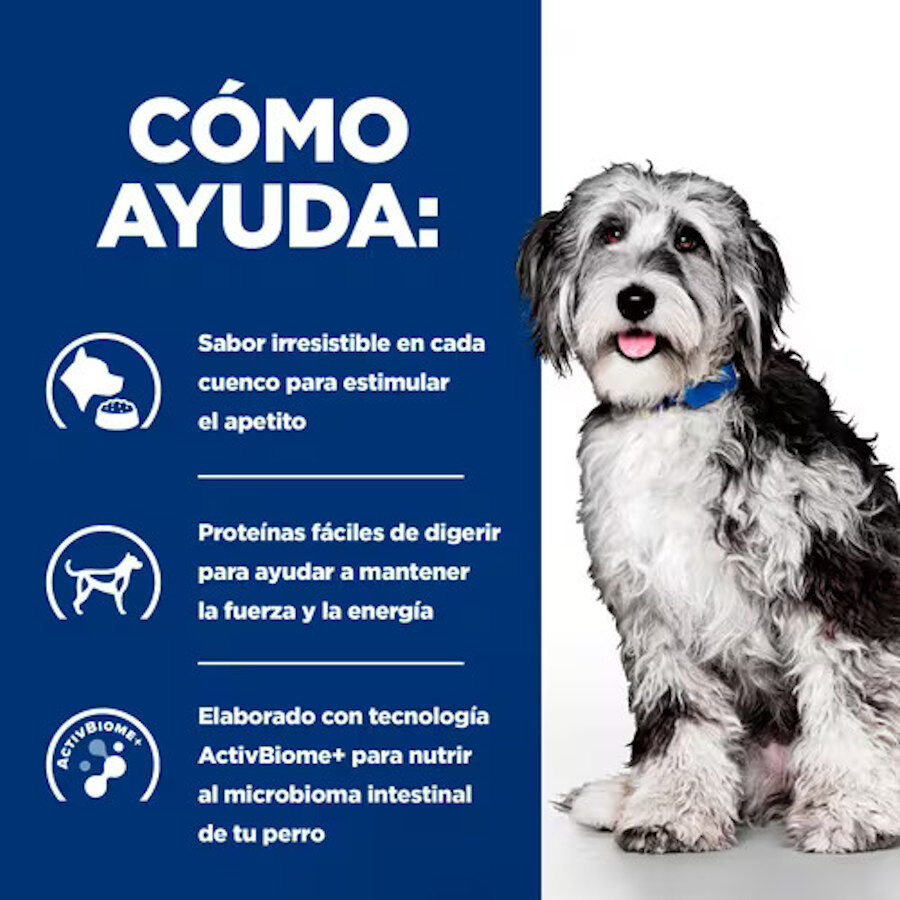 Hill&#039;s Prescription Diet ON-Care Estofado de Pollo y Vegetales lata para perros thumbnail