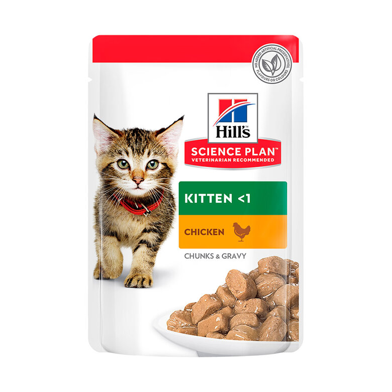 Hill’s Science Plan Kitten Pollo sobre en salsa, , large image number null