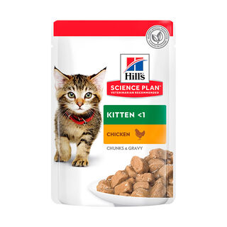 Hill's Science Plan Kitten Pollo sobre en salsa