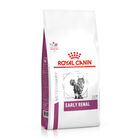 Royal Canin Veterinary Early Renal pienso para gatos, , large image number null