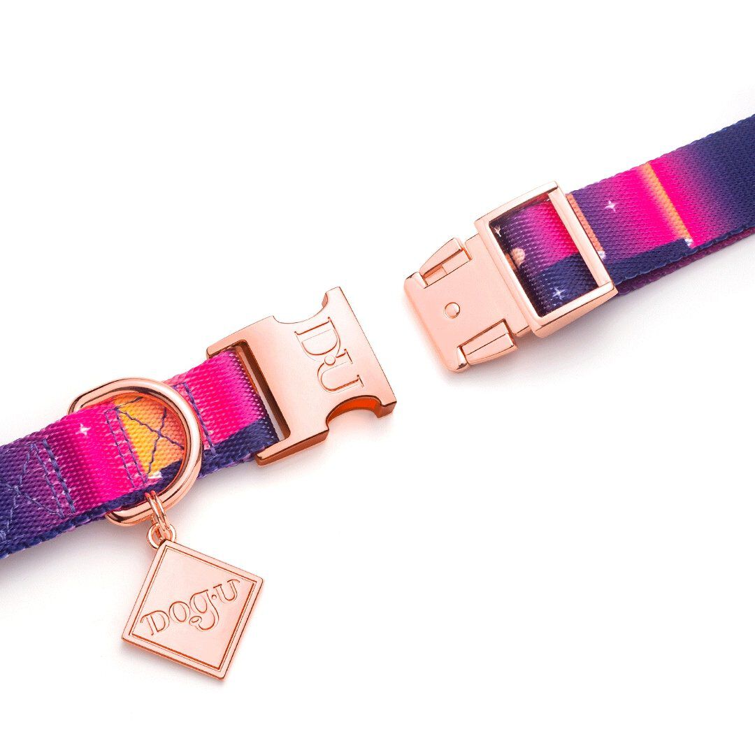 Collar para perro - Boreal - Symphony, , large Imagen numero 2