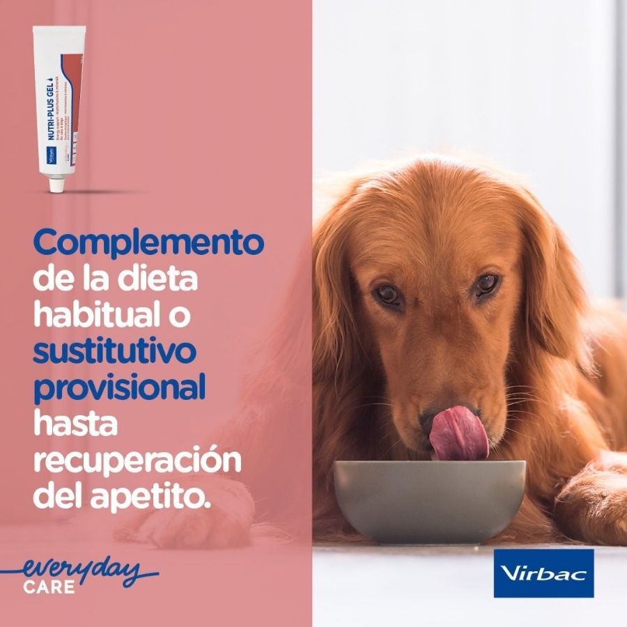120 g Virbac Nutri-plus gel Suplemento para perros y gatos, , large Imagen numero 4