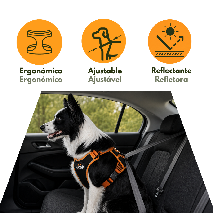 Outech X-perience Arn&eacute;s de Coche para perros, , large Imagen numero 5
