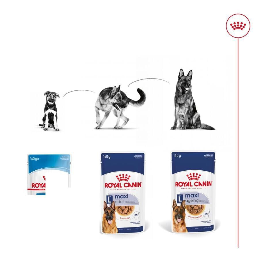 Royal Canin Maxi Ageing sobre en salsa para perros thumbnail