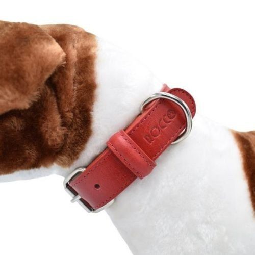 Loyal collar rocco rojo para perros, , large Imagen numero 2