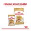 Royal Canin Pomeranian Adult pienso para perros, , large indicador imagen numero 4