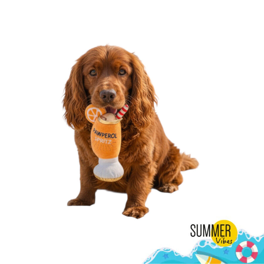 Summer Vibes Pawperol Spritz Peluche Juguete para perros, , large Imagen numero 6