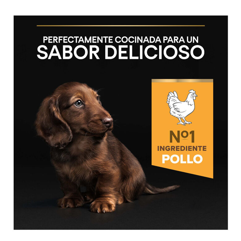 Pro Plan Puppy Small y Mini Pollo pienso para cachorros thumbnail