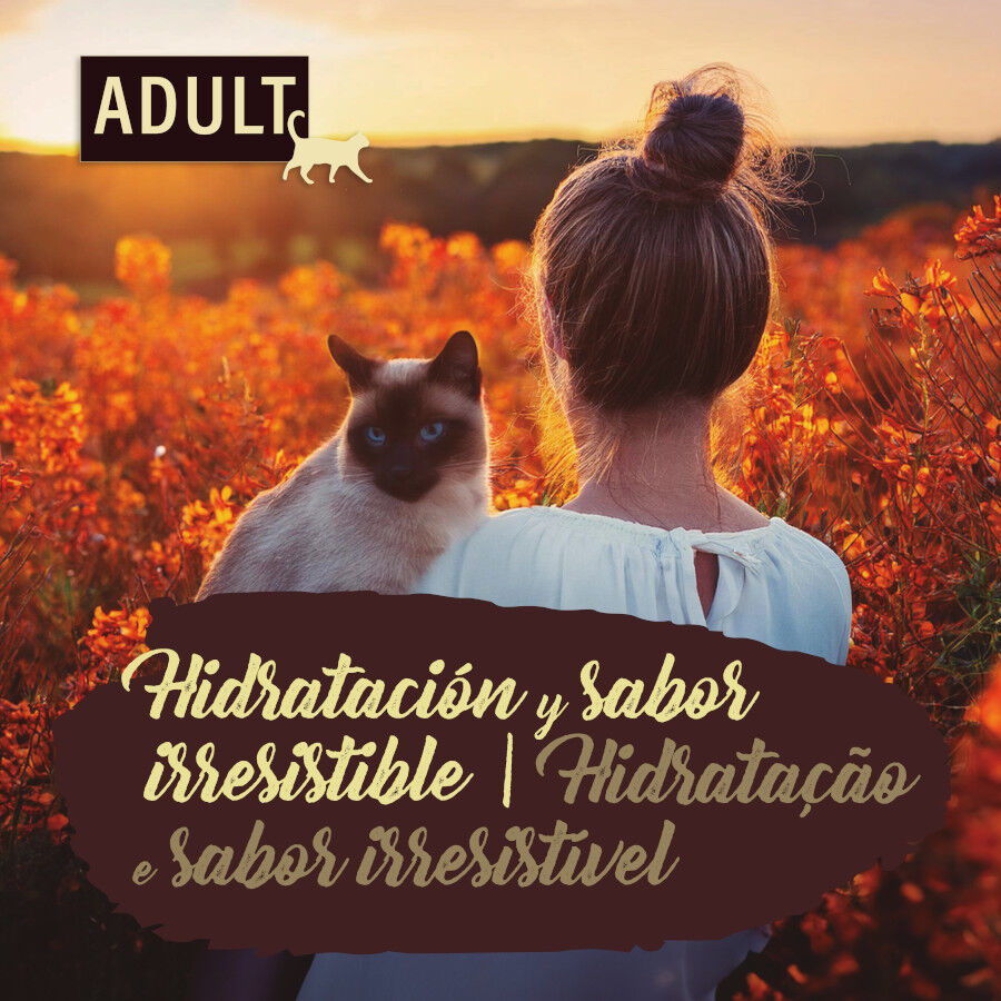 85 g True Origins Pure No Grain Sobre con Pollo para gatos, , large Imagen numero 4