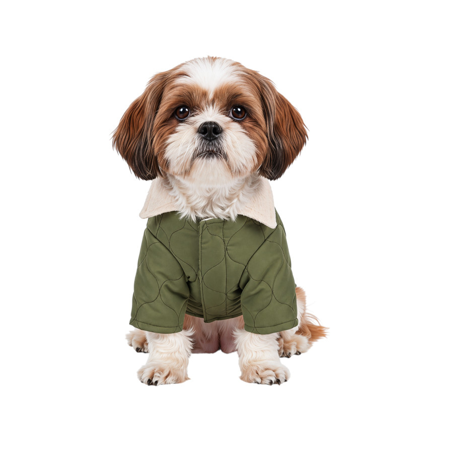 Gotoo Abrigo Acolchado Verde para perros, , large Imagen numero 7