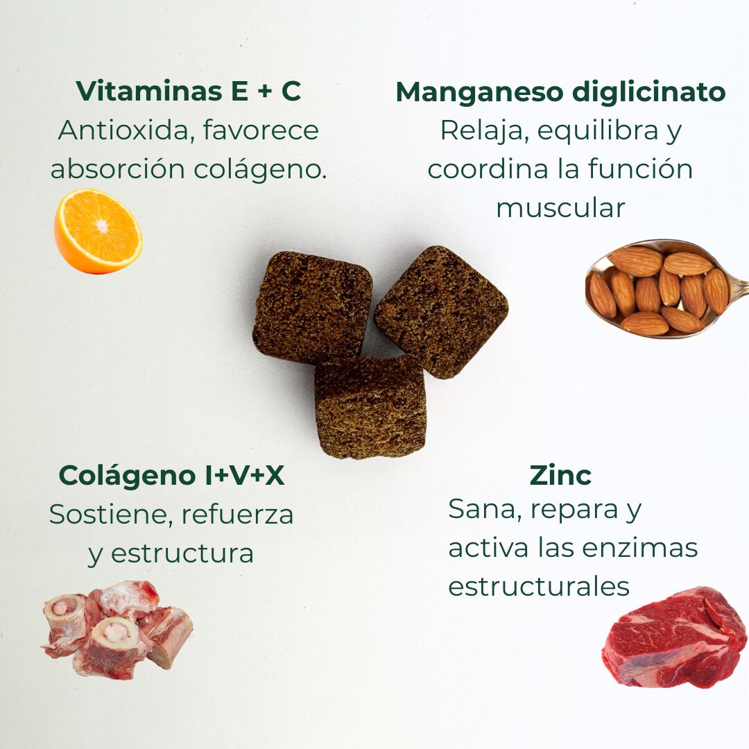 Suplemento nutricional para las articulaciones del perro, , large Imagen numero 5