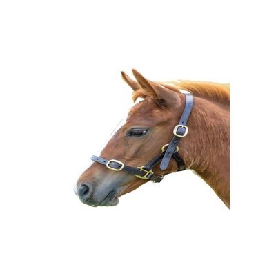 Blenheim Cabezada de Cuero Ajustable Marrón para caballos