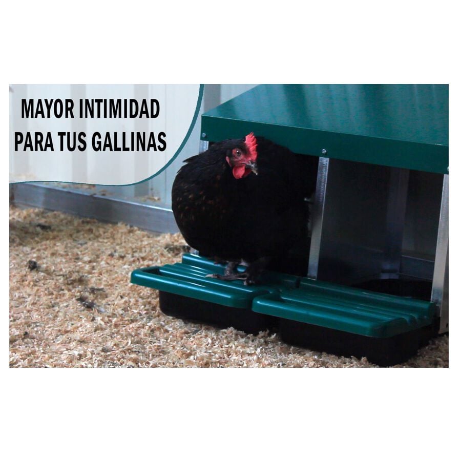 Finca casarejo ponedero con cajón escamoteador para gallinas thumbnail