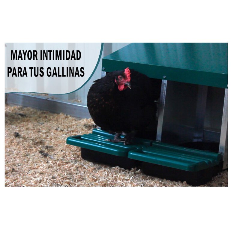 Finca casarejo ponedero con cajón escamoteador para gallinas, , large image number null
