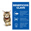 12 sobres x 85 g Hill's Science Plan Kitten Pollo y Pescado sobre para gatos , , large indicador imagen numero 4