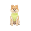 Gotoo Jersey Polar Verde Lima para perros, , large indicador imagen numero 7