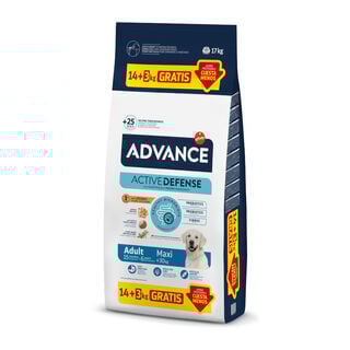 Advance Active Defense Maxi Adult pollo y arroz pienso para perros