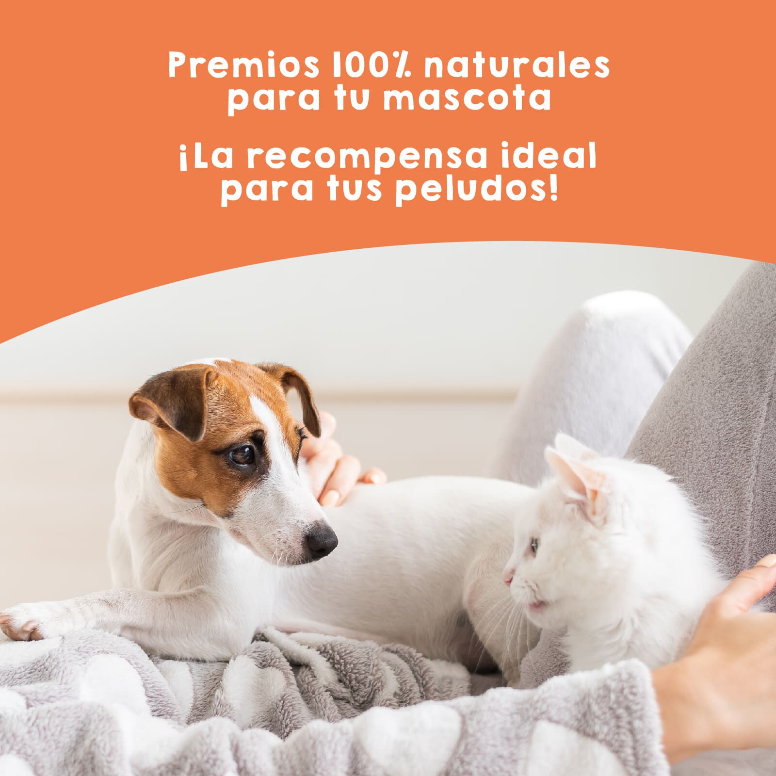 Snack Mejillones de Labio Verde para Perros y Gatos- 150g, , large Imagen numero 5