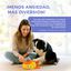 SnackDuck TheKingPet – Juguete Interactivo para Perros | Reduce Ansiedad y Estimula la Mente, , large indicador imagen numero 5