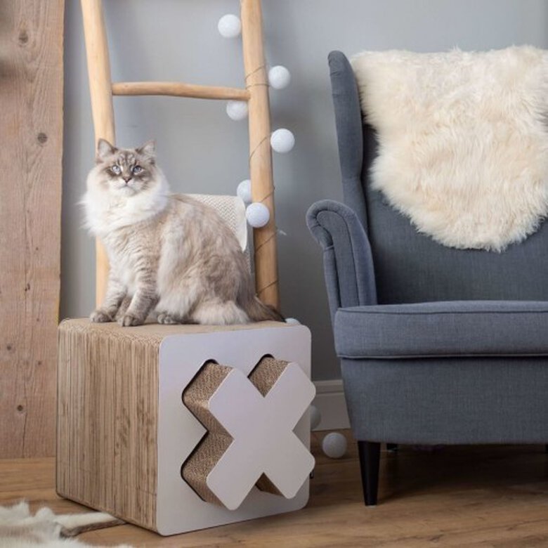 Rascador District70 para gatos color Blanco, , large image number null