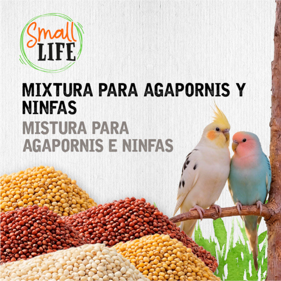 3.7 kg Small Life Mixtura Cubos para agapornis y ninfas, , large Imagen numero 3