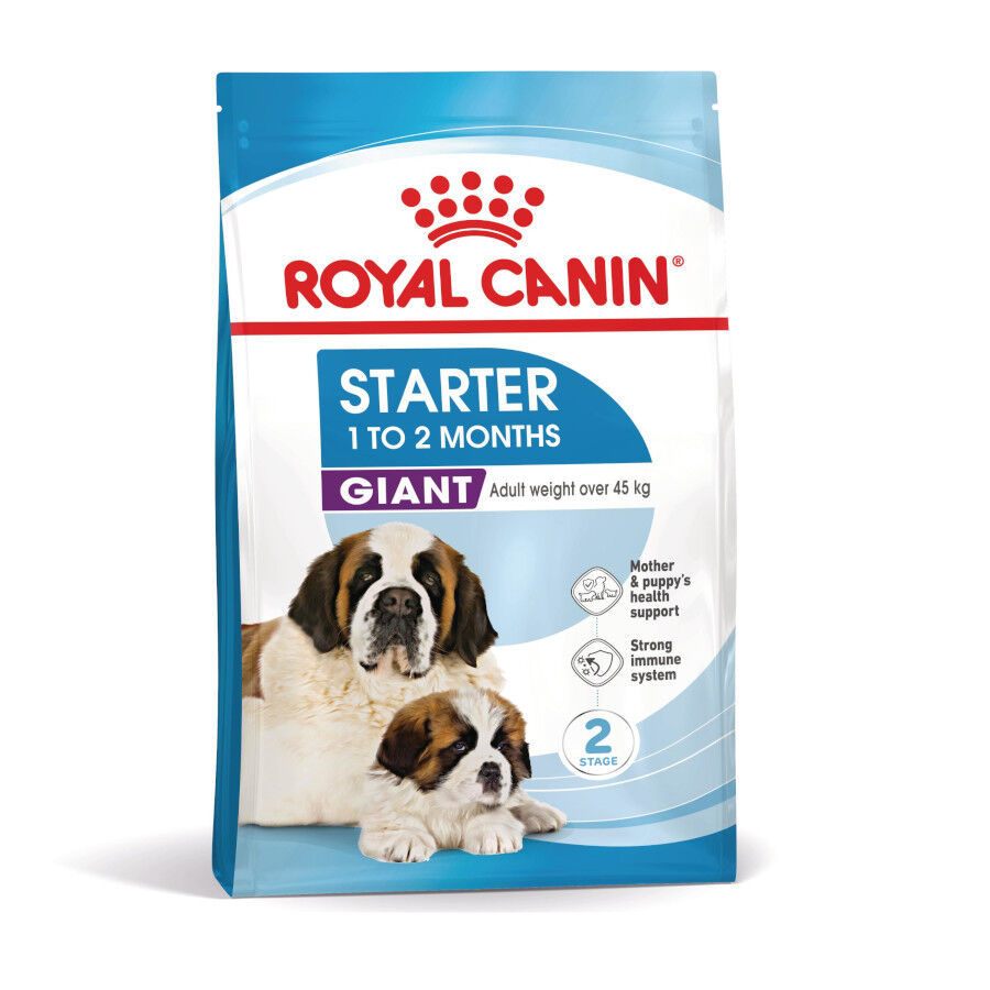 15 kg Royal Canin Starter Puppy Giant Pienso para perros, , large Imagen numero 2