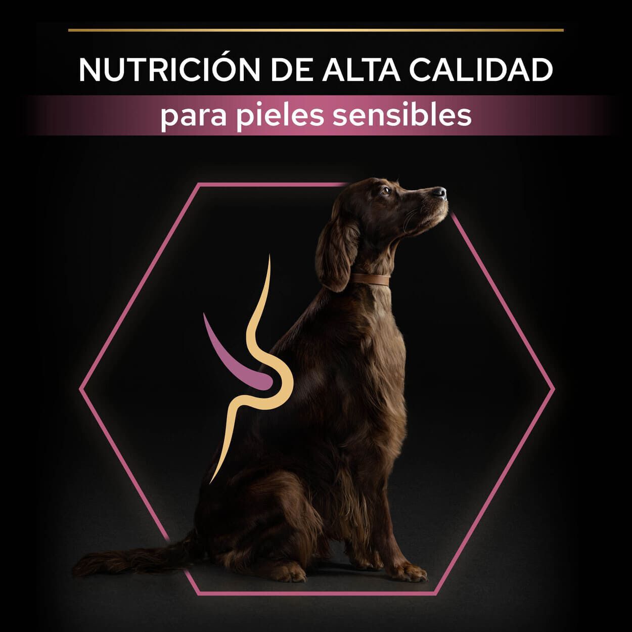 Pro Plan Large Athletic Adult Salmón piel sensible pienso para perros thumbnail