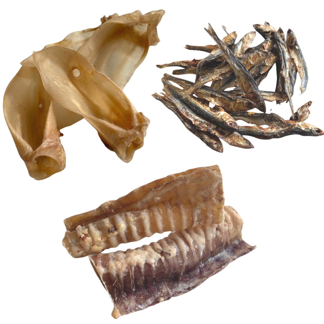 GLE PETS PACK DE SNACK NATURALES, PREMIOS PARA PERROS SALUDABLES, 6 BOLSAS VARIADAS, MORDEDORES NATURALES, CAJA MARR&Oacute;N, , large Imagen numero 3