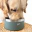 Comedero de acero inoxidable para Perros y Gatos | Acero inoxidable 304, Antideslizante, 946 ml y Varios Colores - La Casa de Turrón, , large indicador imagen numero 3