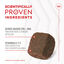Royal Canin Joint & Ageing Chews Suplemento Nutricional para perros con sensibilidad articular, , large indicador imagen numero 6