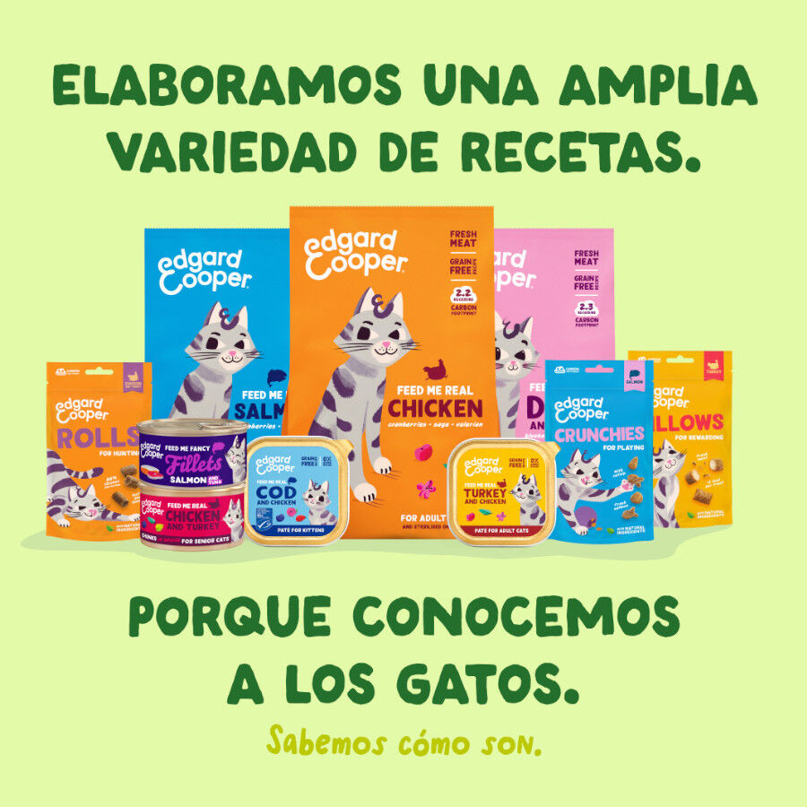70 g Edgard & Cooper Filetes de Caballa Lata para gatos, , large Imagen numero 8