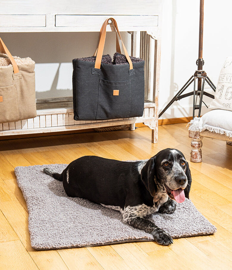 Pet and Co Alfombra De Viaje Aventura Gris Frío Perros y Gatos thumbnail