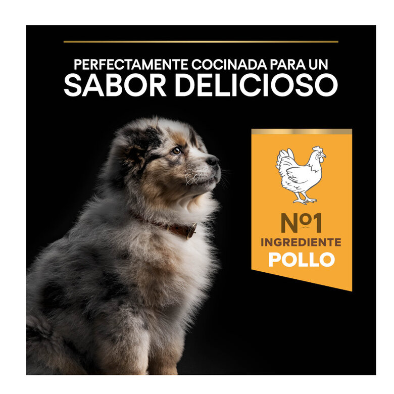 Pro Plan Puppy Medium Pollo pienso para Cachorros, , large image number null