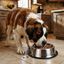 Leeby Comedero de Metal con Aro de Silicona para perros, , large indicador imagen numero 1
