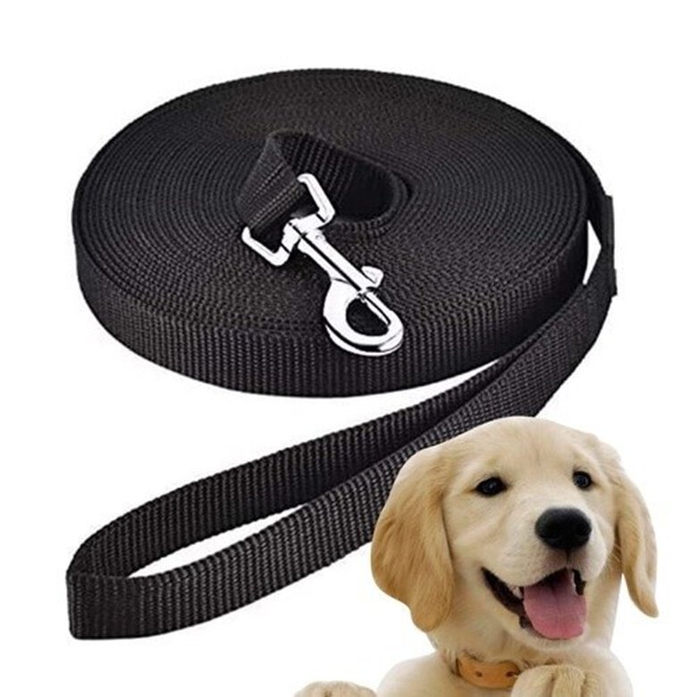Edipets correa de adiestramiento de nylon negra para perros, , large image number null