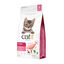 Pienso para Gatito Junior Catit Recipes - Receta de Aves para Kitten, 2 Kg, , large indicador imagen numero 1